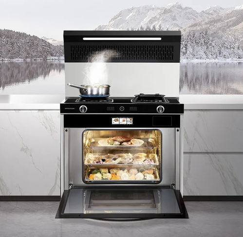 嵊州集成灶10大品牌哪個(gè)好 集成灶牌子到底要怎么選