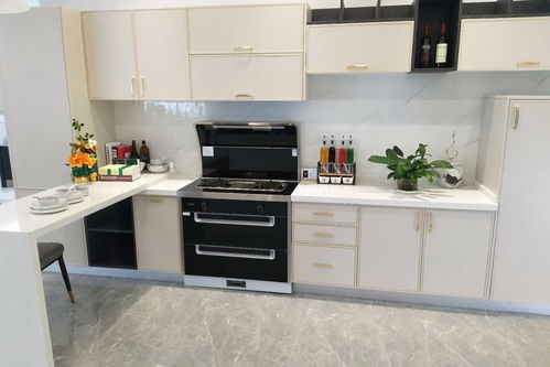 升級(jí)廚房四樣高級(jí)貨，凈水機(jī)讓生活更健康便捷